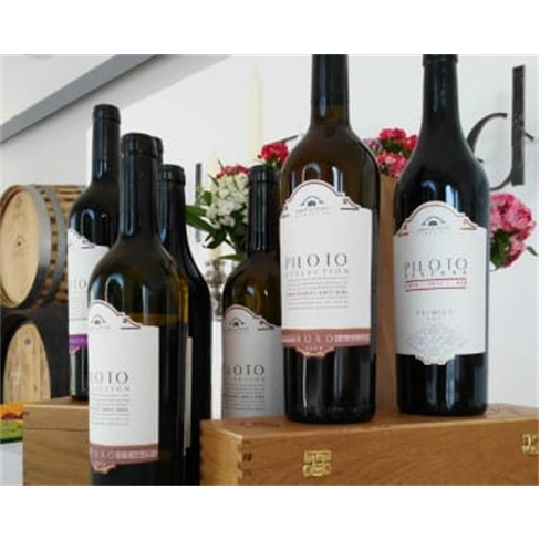 Prova de Vinhos na Quinta do Piloto | Palmela, para 2 Pessoas