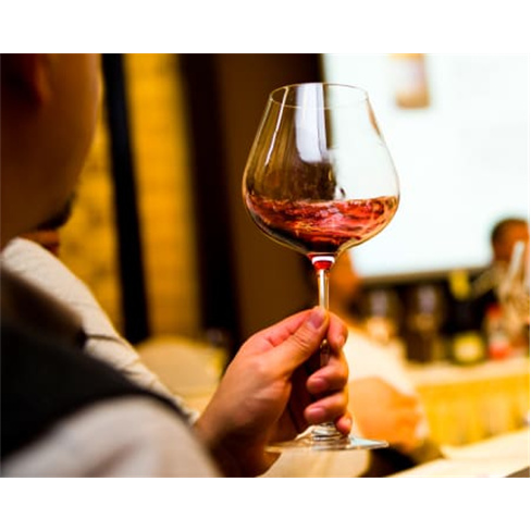 Experiência Premium: Prova de Vinhos + Visita a Manzwine | 2 Pessoas