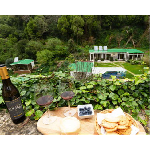 Escape para a Quinta das Murtas | Aromas de Romance na Serra de Sintra