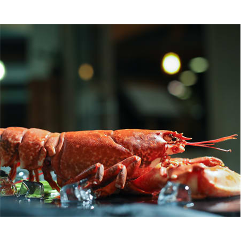 Mariscada c/ Tudo Incluído para Dois | Restaurante Alcazar - Viana do Castelo