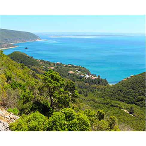 Passeio na Arrábida + Prova de Vinhos na Bacalhôa | Azeitãon(54 caracteres)