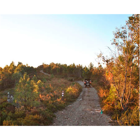 Buggy Tour no Arouca Geopark para Dois | NaTour Way Buggy Tour | 1 Hora