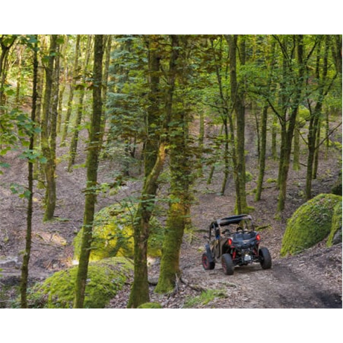 Excursão de Buggy no Gerês! Aluguer e Passeio | Arcos de Valdevez
