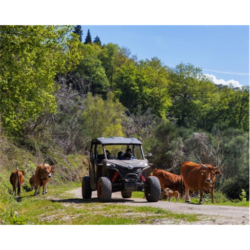 Excursão de Buggy no Gerês! Aluguer e Passeio | Arcos de Valdevez