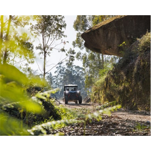 Excursão de Buggy no Gerês! Aluguer e Passeio | Arcos de Valdevez