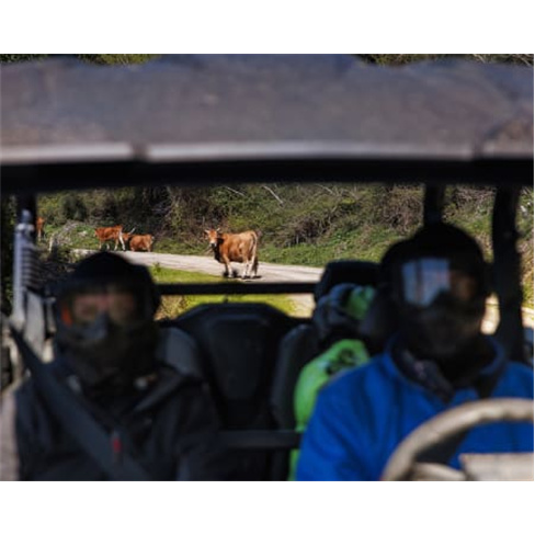 Excursão de Buggy no Gerês! Aluguer e Passeio | Arcos de Valdevez