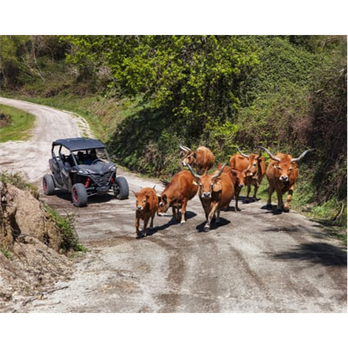 Excursão de Buggy no Gerês! Aluguer e Passeio | Arcos de Valdevez