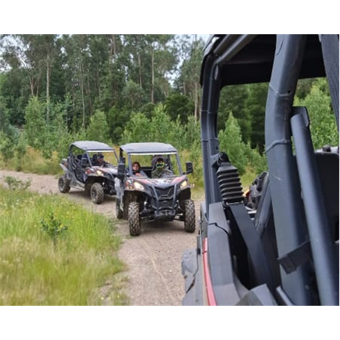 Passeio de Buggy | Aventura no Douro - Gondomar