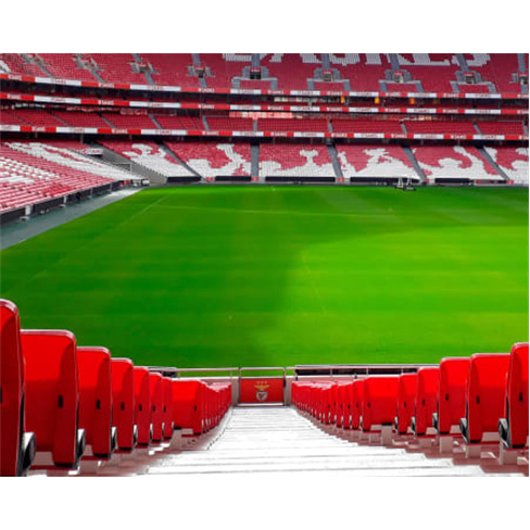 Presente SLB para Dois | Lisboa Visita ao Estádio da Luz + Refeição no Red Sn