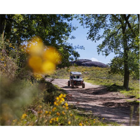 Excursão de Buggy no Gerês! Aluguer e Passeio | Arcos de Valdevez