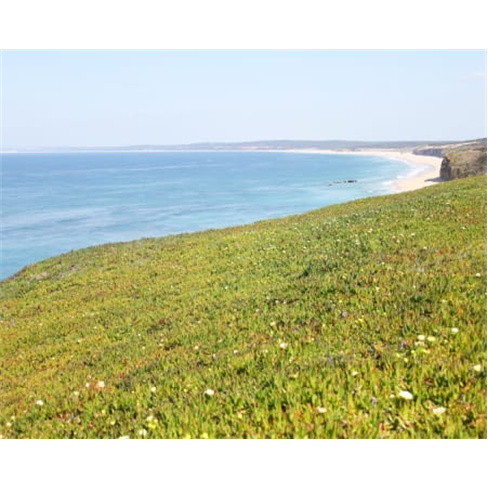 Batismo de Voo em Parapente com Fotos | Lisboa - 30 min | Já Sonhou em Voar?