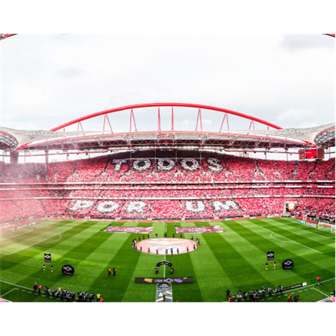 Presente SLB para Dois | Lisboa Visita ao Estádio da Luz + Refeição no Red Sn