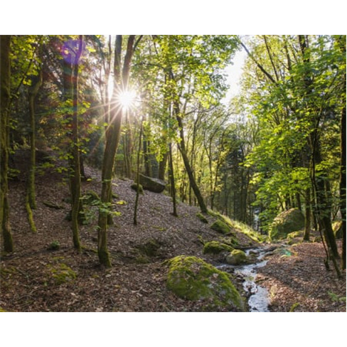 Excursão de Buggy no Gerês! Aluguer e Passeio | Arcos de Valdevez