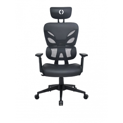 Cadeira Ergon&oacute;mica Lovit Regent Preto